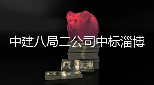 二公目业基一期中建智能地项新区统产八局标淄博高微系司中